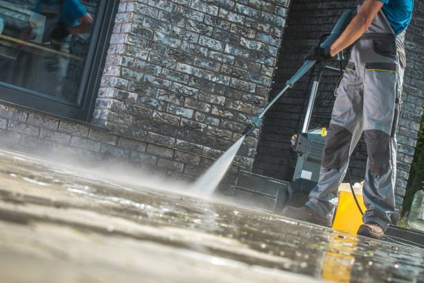 Best Roof Cleaning and Mildew Removal in Aldine, TX